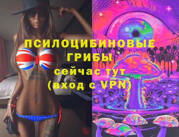 прущий лед Вяземский