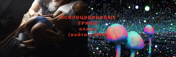 спайс Вязники