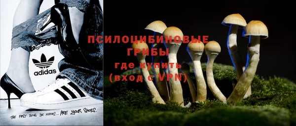 прущий лед Вяземский